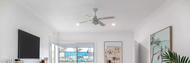 Ceiling fan repair Ottawa