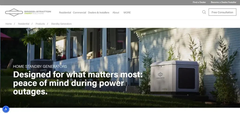 Briggs & Stratton generator