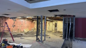 Commercial Project Kawartha Dairy Orleans 2